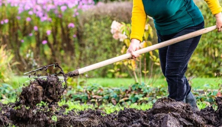 Green Promises, Natural Choices: The Benefits of Organic Garden Fertilizer