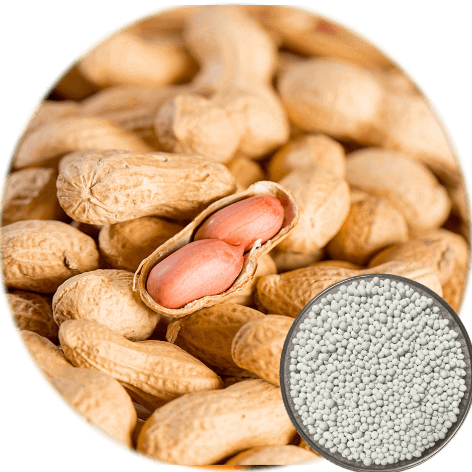 Peanut Fertilizer