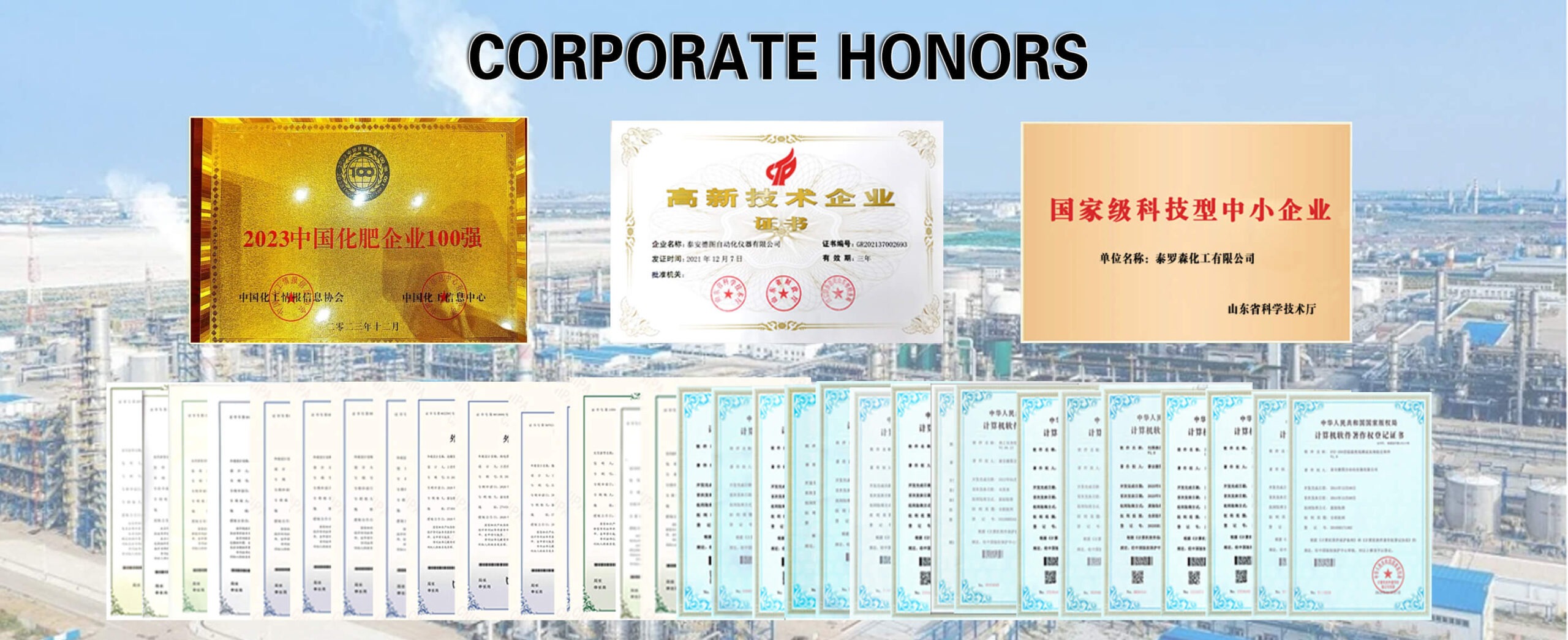 Corporate Honors