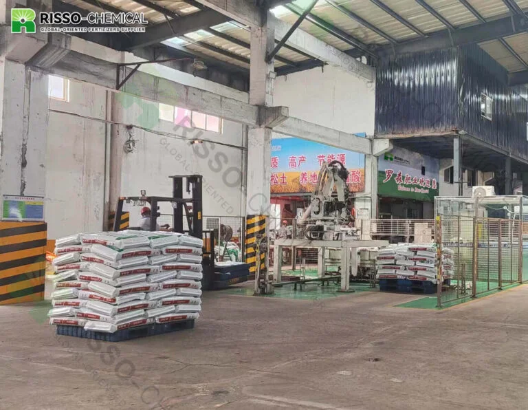 Laborejo pri produktado de sterko de Risso