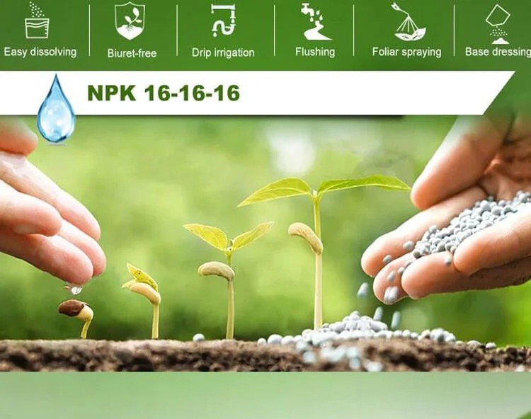 Nitro-sulfur-bazita-NPK1