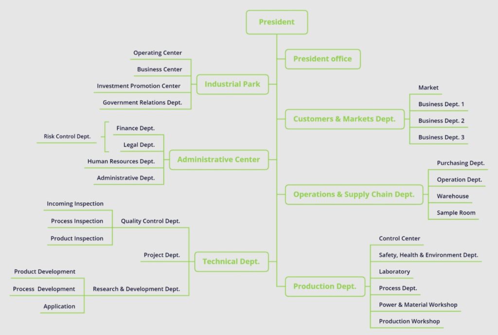 company_structure