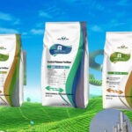 Advantages of NPK compound fertilizer