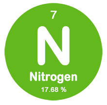 Kandungan Nitrogen