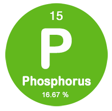 Phosphorus