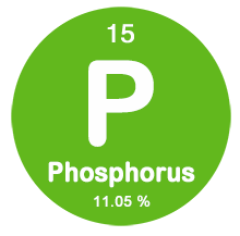 Phosphorus Content