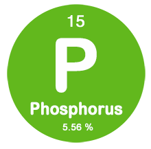 Phosphorus Content