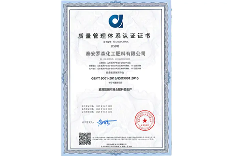 Sertifikat ISO Cina Risso