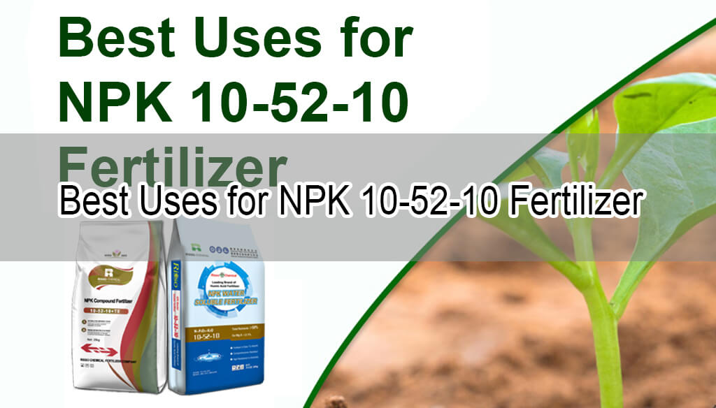 Best Uses for NPK 10-52-10 Fertilizer (1)