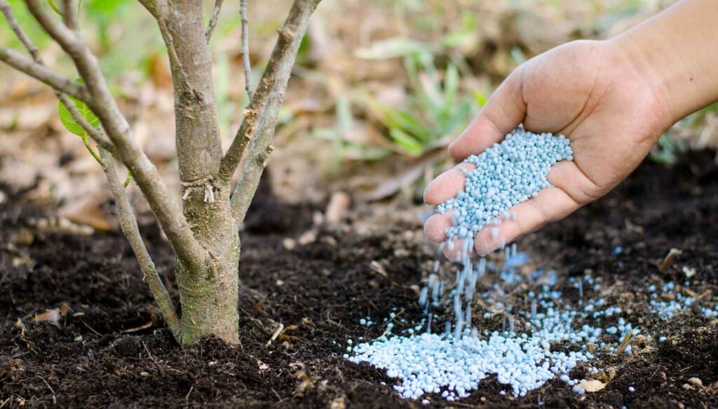 What is NPK Fertilizer?