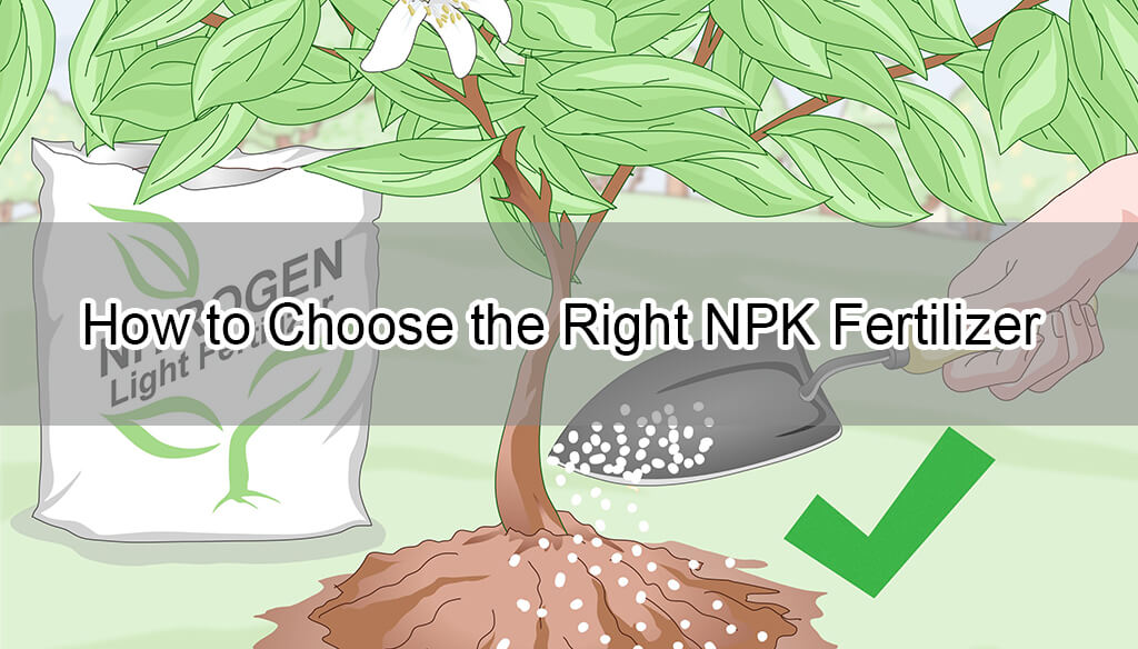 How to Choose the Right NPK Fertilizer