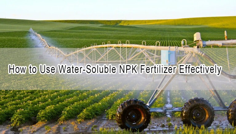 How to Use Water-Soluble NPK Fertilizer Effectively