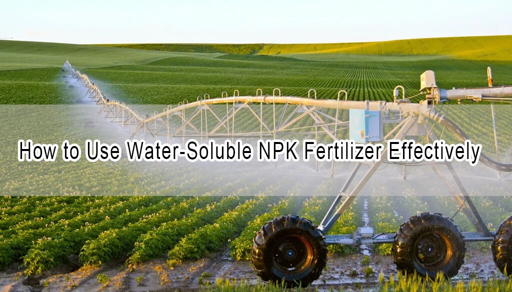 How to Use Water-Soluble NPK Fertilizer Effectively