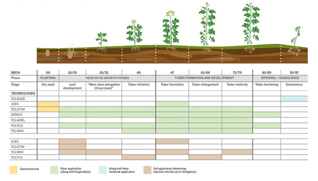 Know Your Plant's Growth Cycle