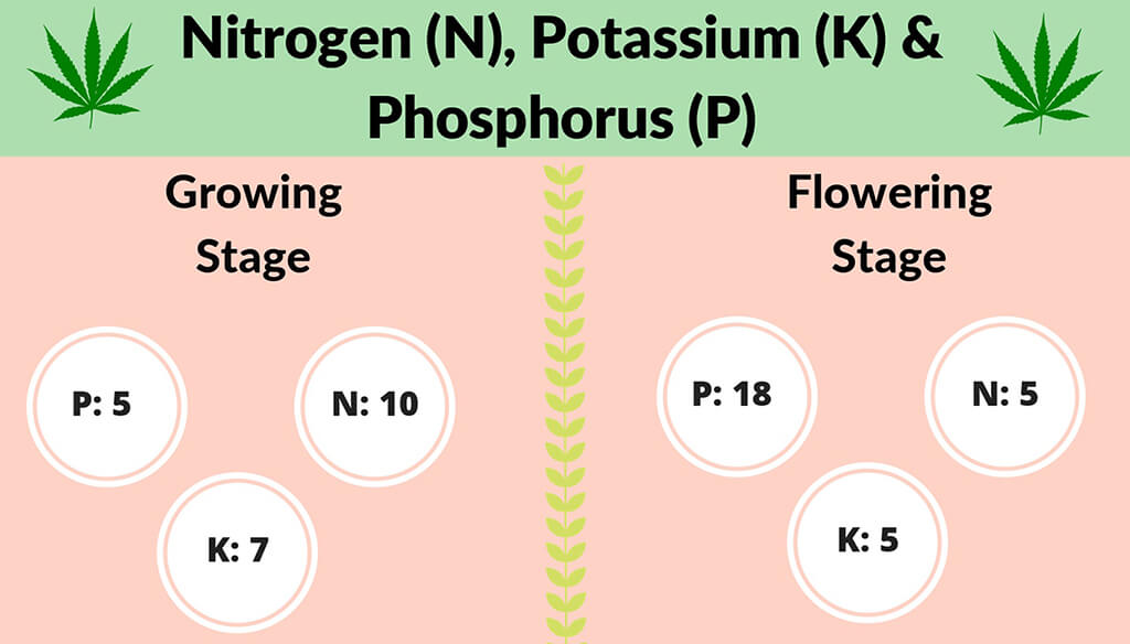 Learn About NPK Ratios1