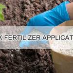 NPK fertilizer application