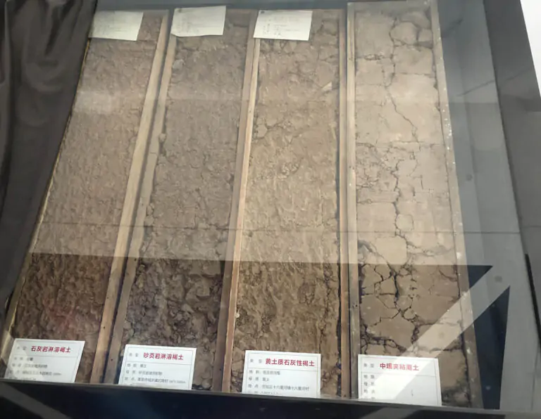 Sala de exposición de suelos agrícolas de Risso Fertilizers