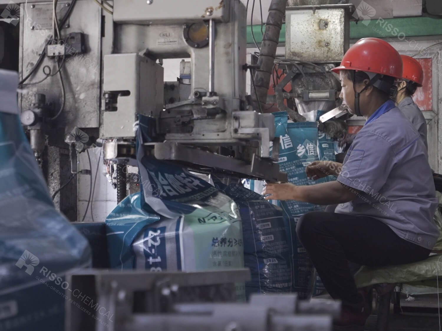 Gallery - Explore Our Products & Facilities | Risso Fertilizer