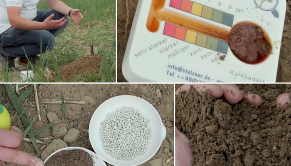 Soil Temperature and Moisture