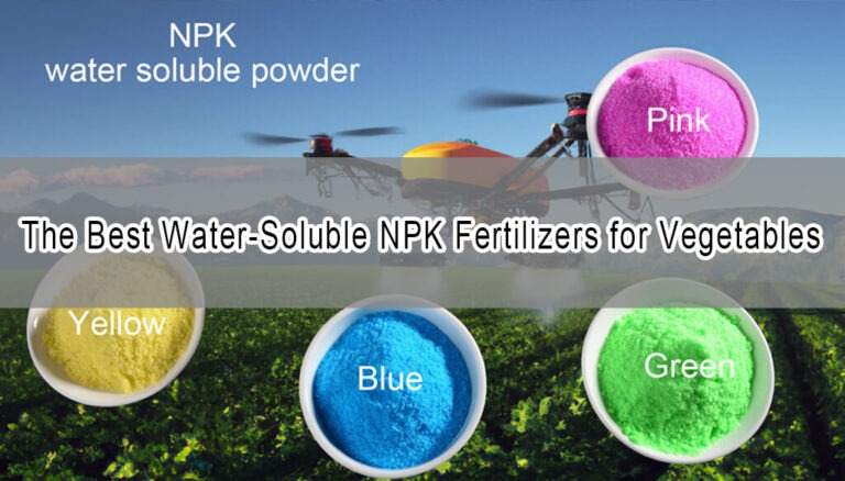 The Best Water-Soluble NPK Fertilizers for Vegetables