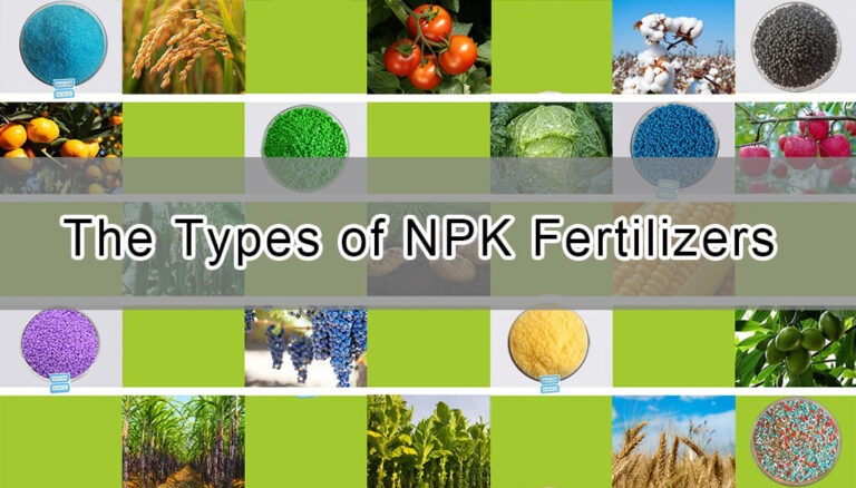 The Types of NPK Fertilizers: A Comprehensive Guide