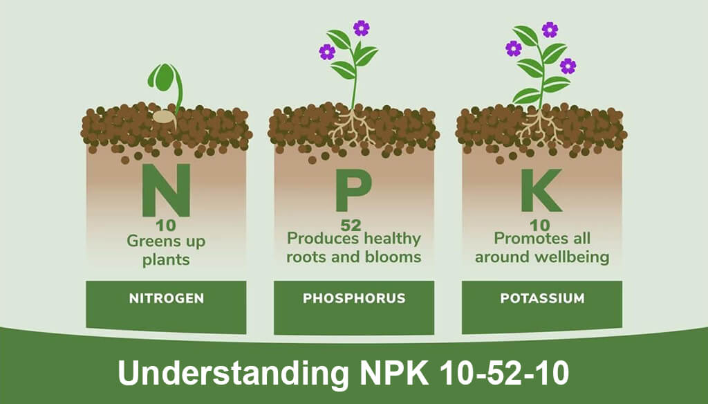 Understanding NPK 10-52-10