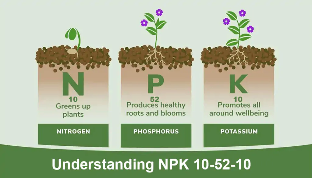 Entendiendo el NPK 10-52-10