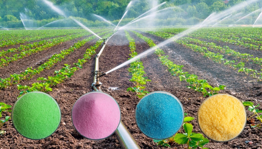 Water-Soluble NPK Fertilizers