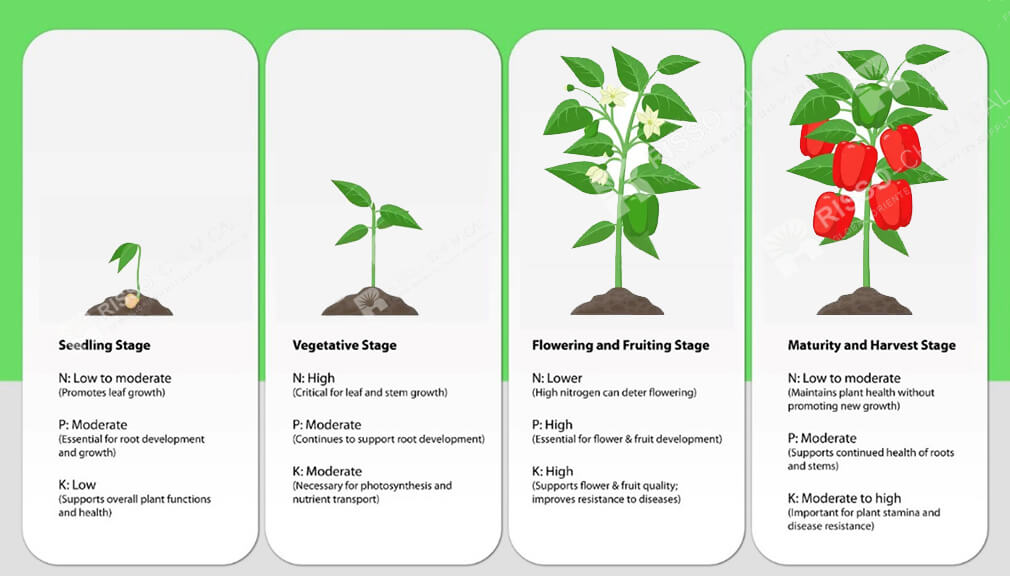 Critical moments for NPK fertilizer use