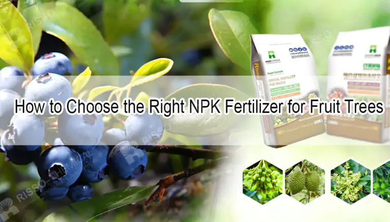 Cómo elegir el fertilizante NPK adecuado para árboles frutales