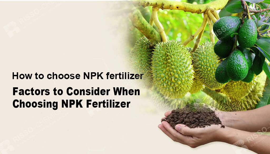 How to choose NPK fertilizer