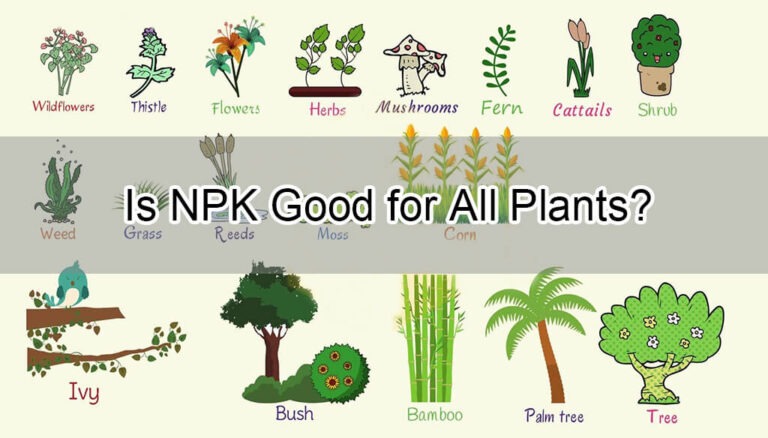 Is NPK Fertilizer Good for All Plants?