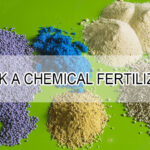 Is NPK a Chemical Fertilizer