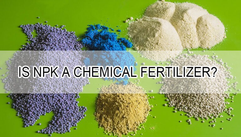 Is NPK a Chemical Fertilizer