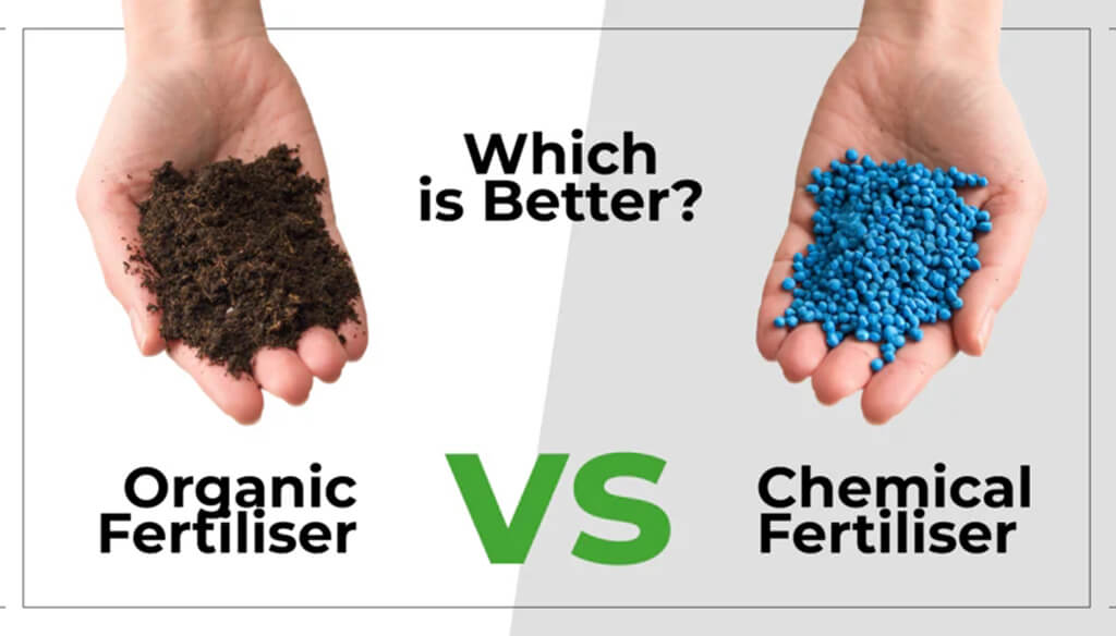 Organic VS Chemical NPK Fertilizer1