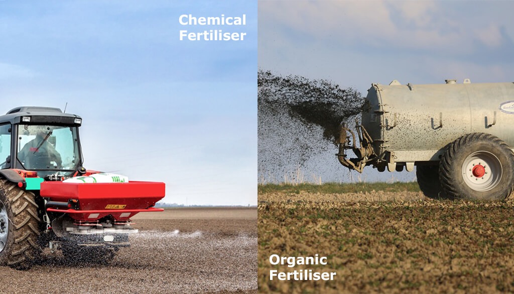 Organic vs. Chemical Fertilizers