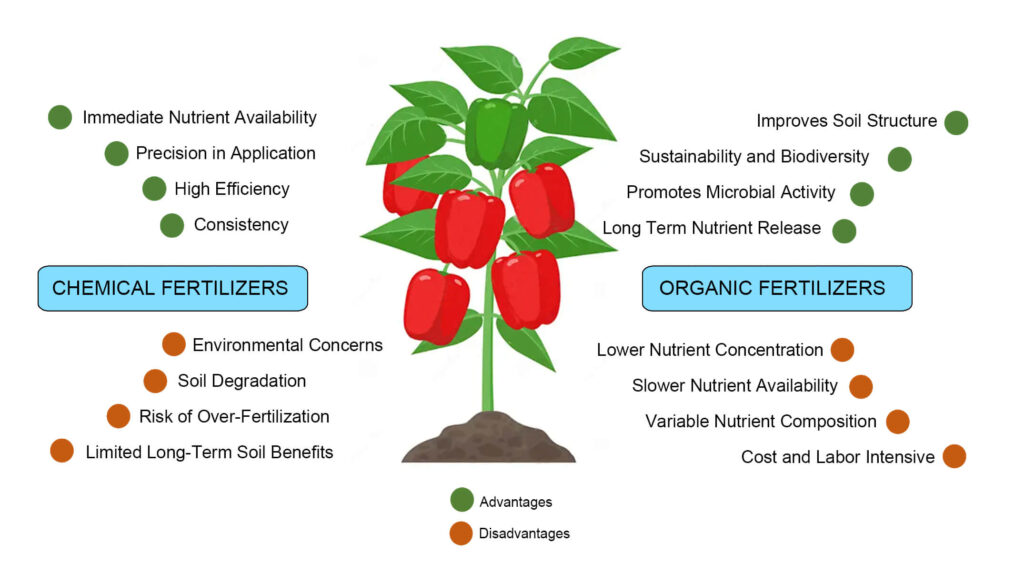 Organic vs. Chemical Fertilizers1