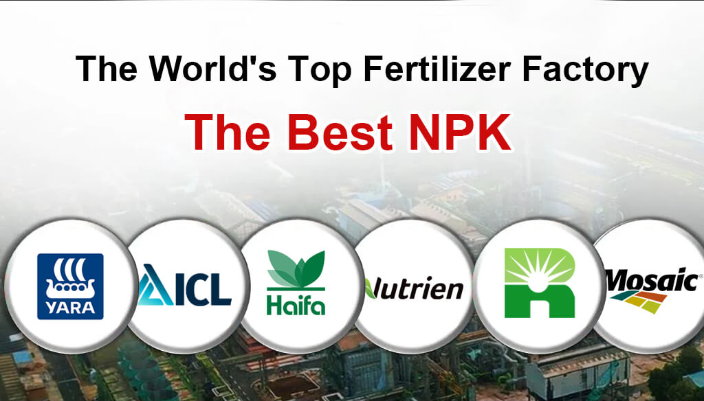 The Best NPK Fertilizer