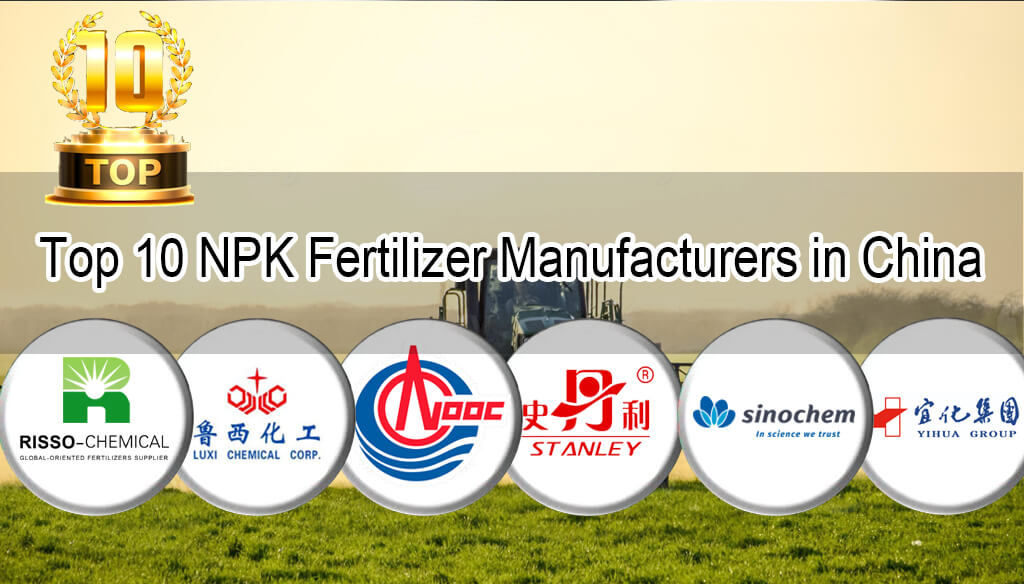 Top 10 NPK Fertilizer Manufacturers in China