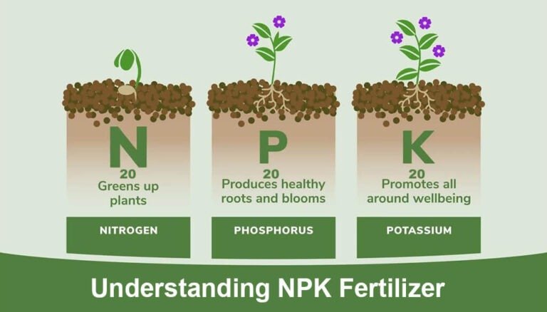 Instructions on NPK Fertilizer: A Professional Guide | Risso Fertilizer