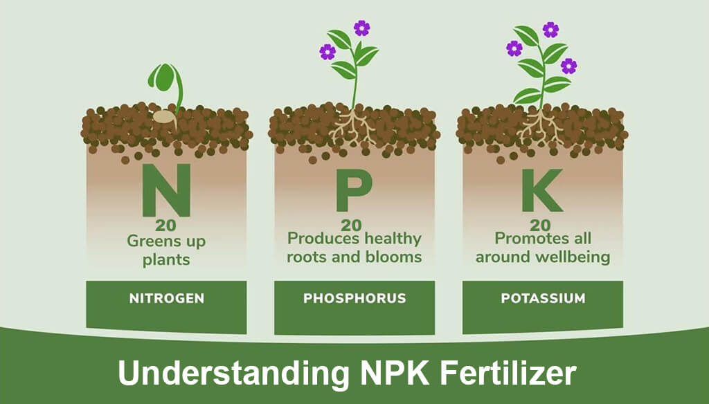 Understanding NPK Fertilizer