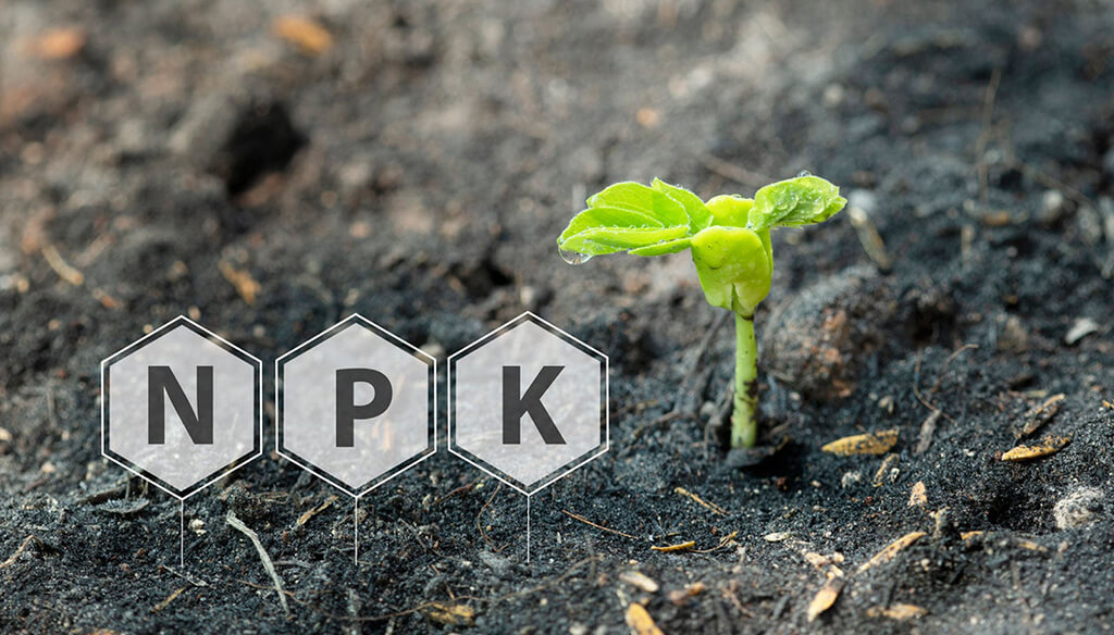 Understanding NPK Fertilizer