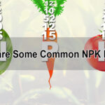 What are some common NPK ratios