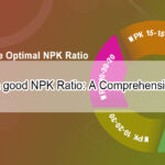 What is a good NPK Ratio