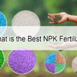 What is the Best NPK Fertilizer