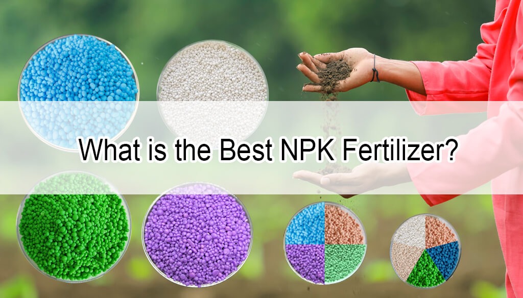 What is the Best NPK Fertilizer