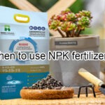 When to use NPK fertilizer