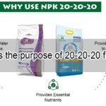 Why Use NPK 20-20-20