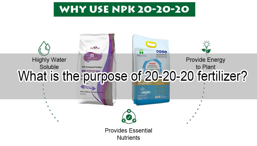 Why Use NPK 20-20-20