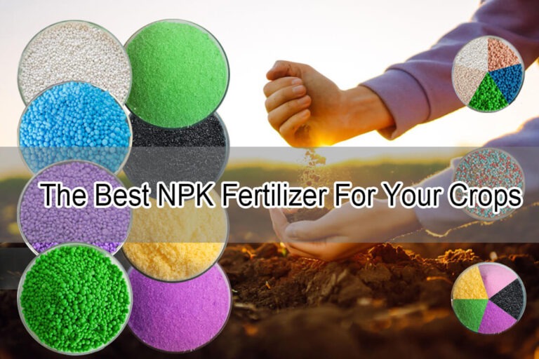 The Best NPK Fertilizer For Your Crops